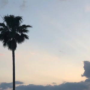 Meet your Posher, Nevaeh